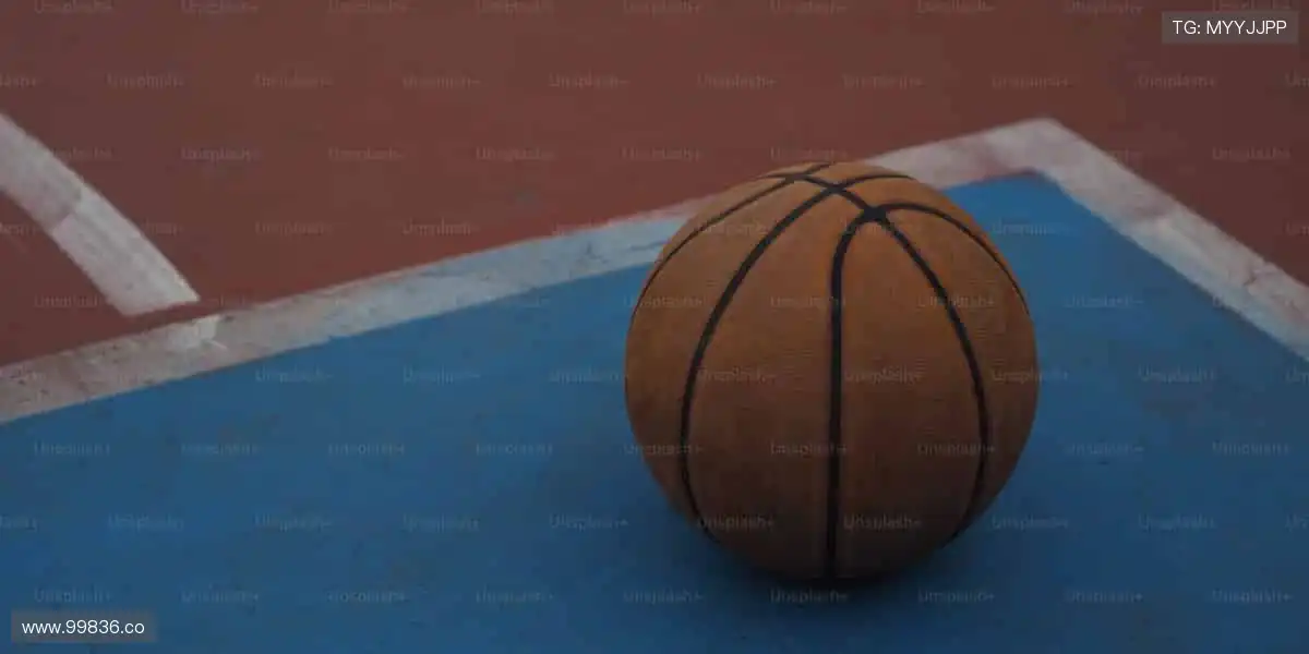 🎉 冠军之路,与你同在,